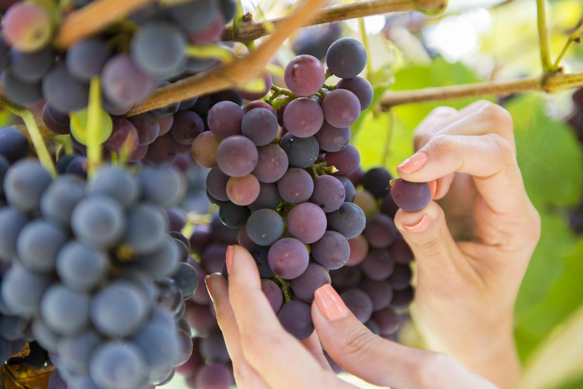Imagem de jovens da geração Z explorando propriedades na serra, refletindo novas tendências no consumo imobiliário.